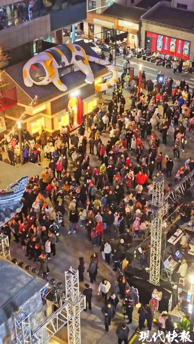 读城｜大“喵”弄！常州千年城隍巷成了“喵星人乐园”