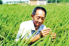 铭记！《湖南日报》里的科技工作者群像图片