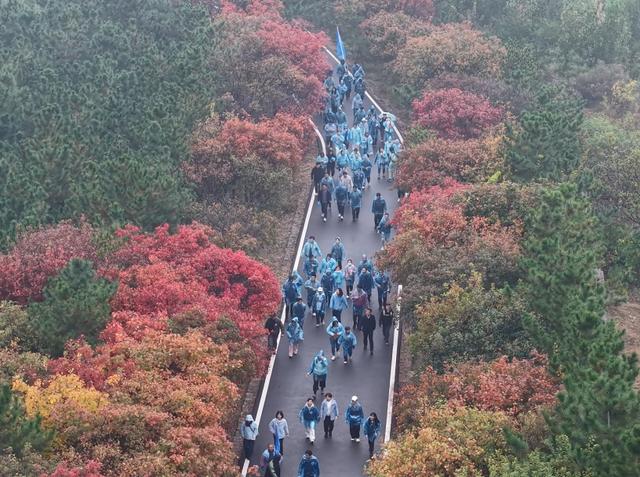 圆满收官！肥城这波 “山野快乐” 直接拉满~