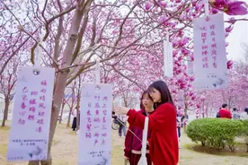 共赴一场玉兰之约，华科大举行“玉兰文化节”美育周系列活动图片
