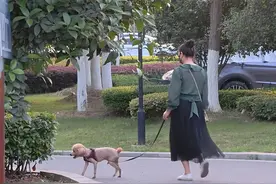 芜湖一公园大喇叭辱骂遛狗市民？真相来了……图片