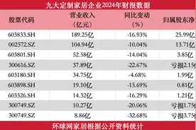 九大定制家居企业发布2024年财报：营收承压 净利普遍下滑图片