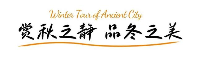 巨划算！冬游台儿庄古城，这份“买一送一”的跨年旅行攻略请收好