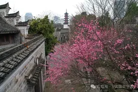 19日气温直冲26℃!气温大起大落 接连两股冷空气将影响宁波图片