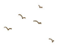 何处红叶醉人眼？何物最暖游子心？