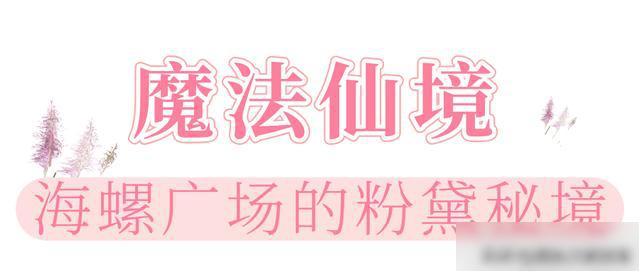 【乐游烟台】美到犯规！直击烟台各地粉黛花海实况