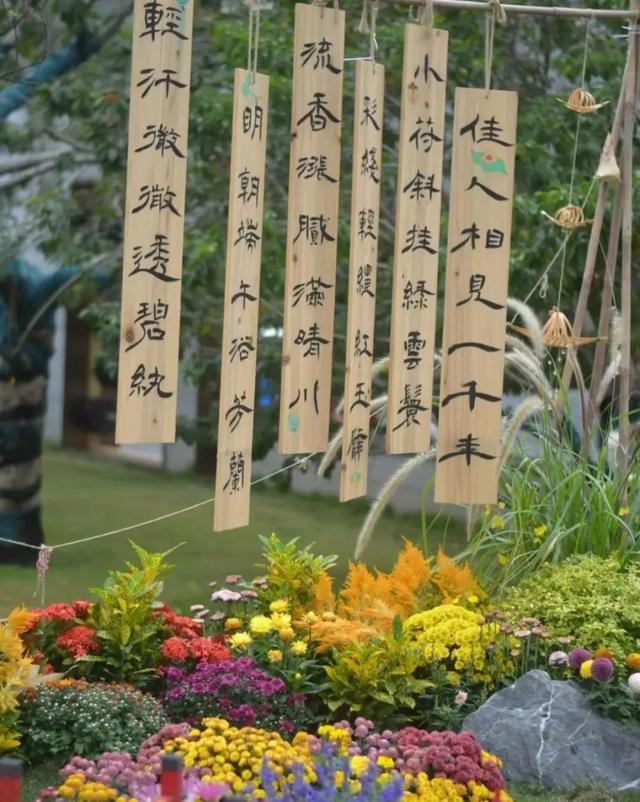 5000元+终身VIP！宝华山邀您来设计
