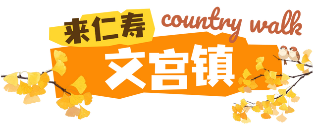 初秋country walk，是时候到仁寿村游啦