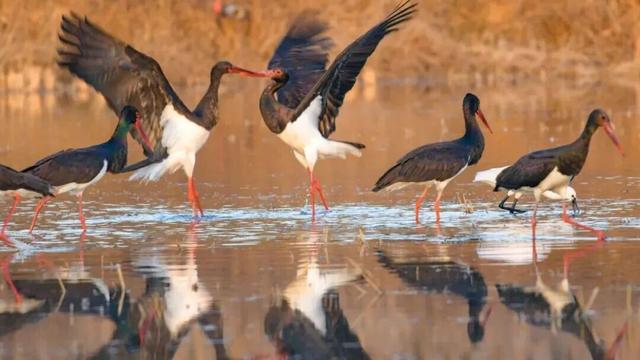 听劝，冬天在洛阳，就要这么玩！