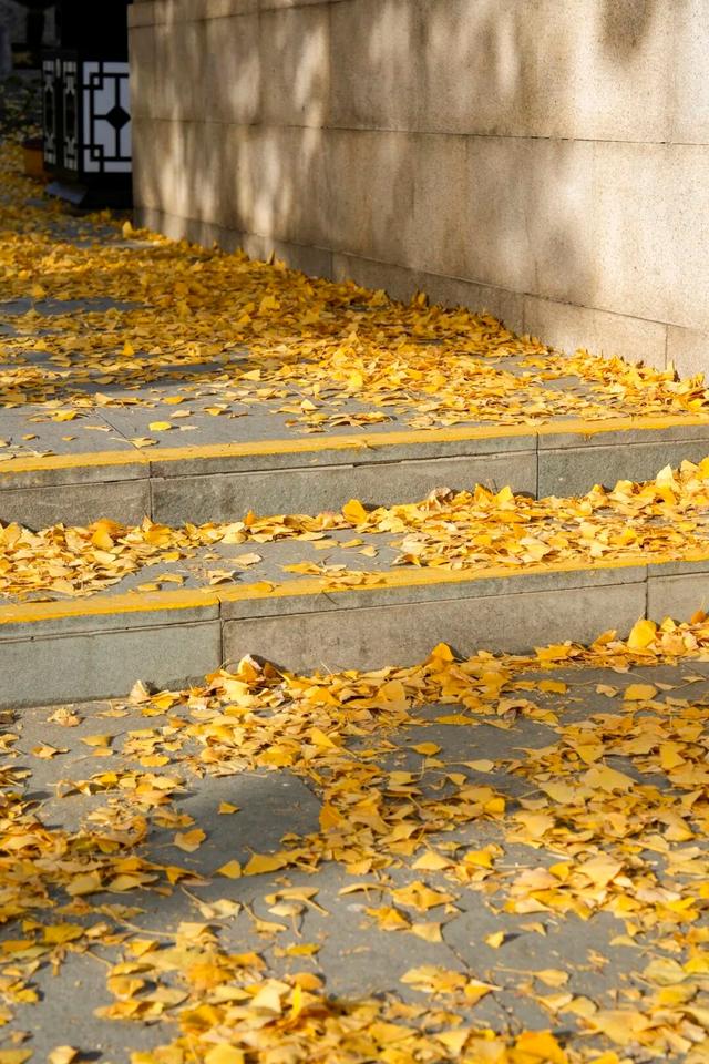 出片率100%！海陵“含金量”在上升！