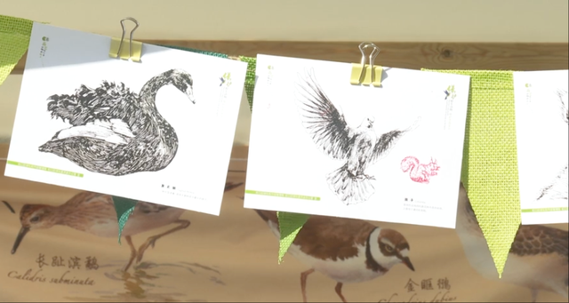 2025崇明东滩观鸟生活季启幕