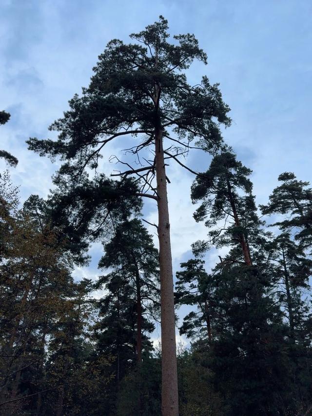 假期闲记（三）