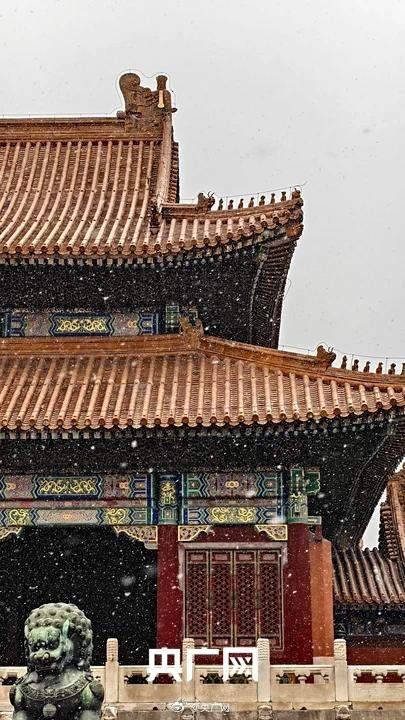 一下雪故宫就美成了紫禁城