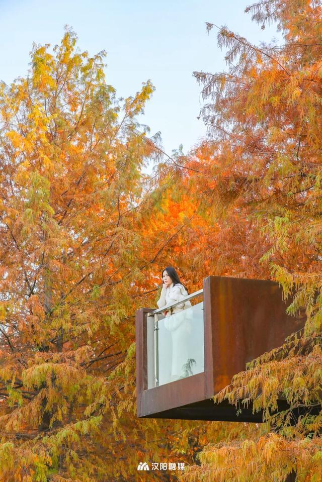 爆火机位！汉阳这个阳台，红了！