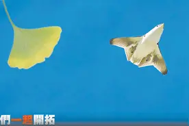 《中国人》歌曲展现温情，“银杏叶”隐喻发出震慑，东部战区元旦发布重磅MV释放多重含义图片