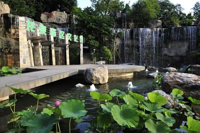 家门口的这些公共文化服务可“圈”可“点”，来了解一下