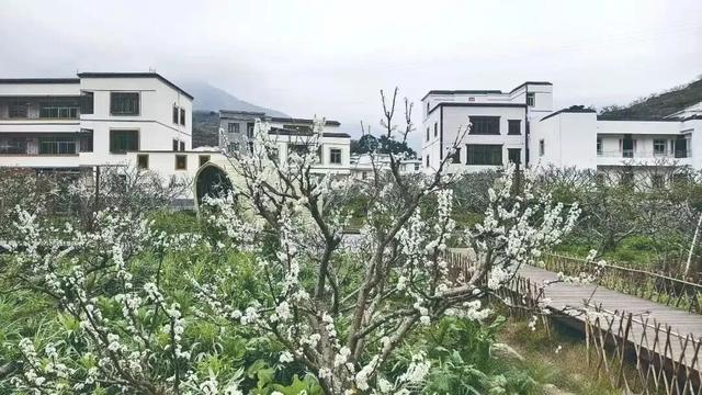 信宜这里再获省级认证！