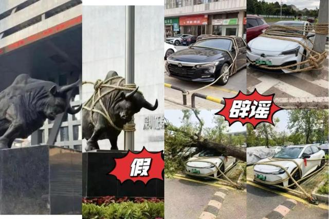 当台风遇到AI造假，我们该如何守牢真相？