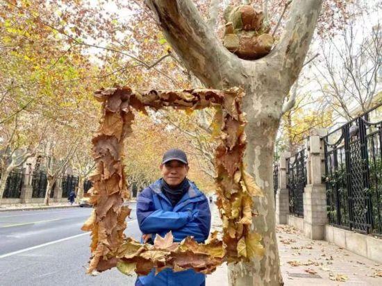 这场秋日浪漫别错过 申城落叶道体验进入倒计时