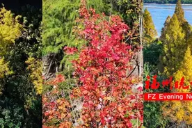 五彩斑斓！福州公园又上新！太美了！图片