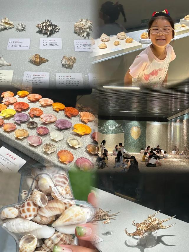 我的日照旅行日记｜日照，真是个让人惊喜的城市