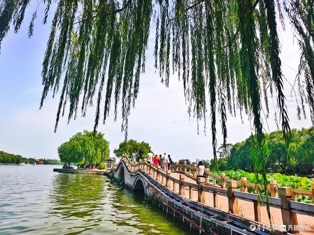 明湖垂柳曼妙多姿，游人如织景致如画