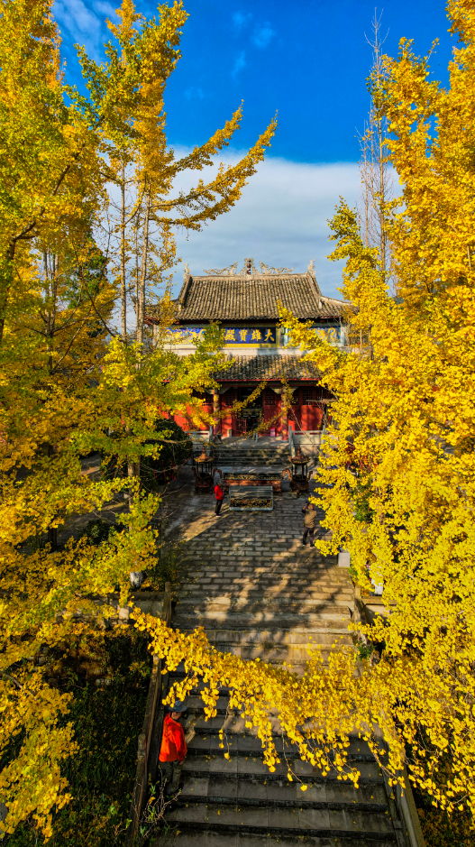 出发！来四川淘“金”