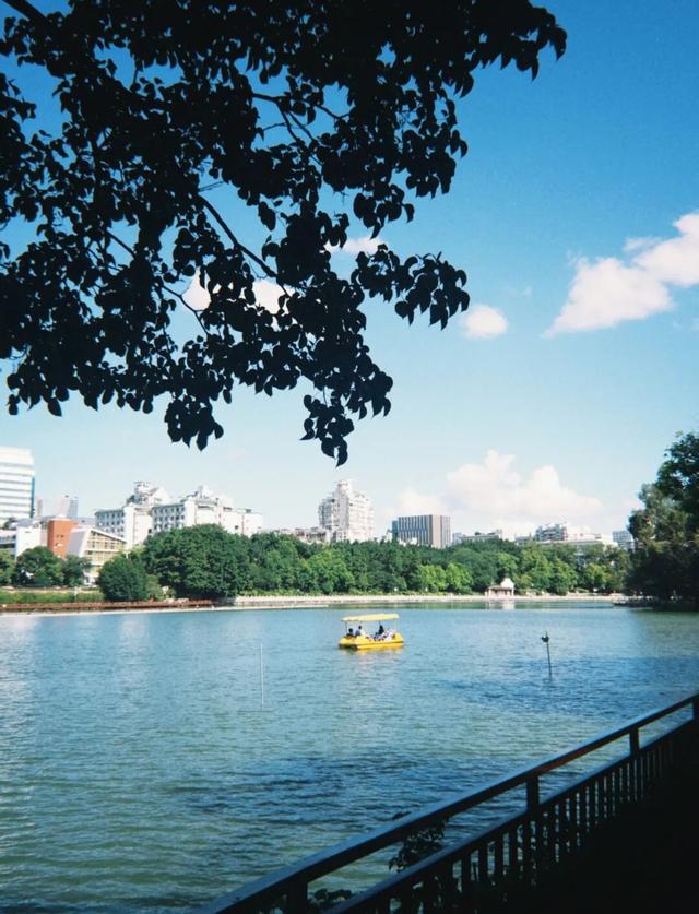 除了看菊花展，福州西湖公园还能怎么逛？