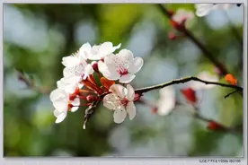 下周，贵阳气温直冲31℃！图片