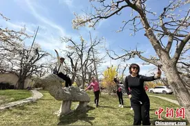 兰州皋兰：千树万树梨花开 梨园也兴“麻辣烫”图片
