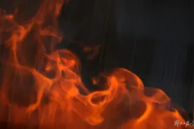 养殖基地多年来三次遭遇蹊跷火灾！数百只白狮头鹅成为“烤鹅”损失共超5000万元图片