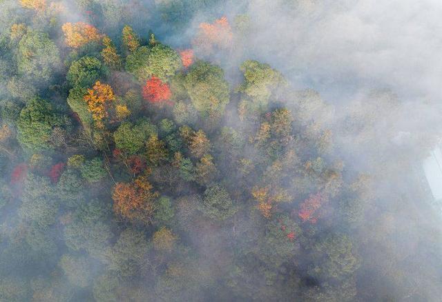 冰雪奇缘 车轮上的川味中国年：十条自驾线路解锁冬日三重奏