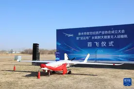 长航时大载重无人运输机“宝云号”在河北衡水成功首飞图片