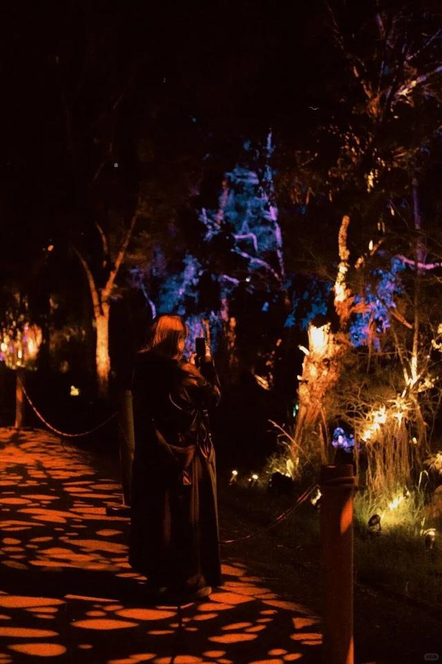 哈迷集合！全国首家“哈利·波特：禁林体验”门票免费送