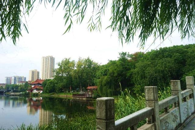 枝江秋色：长江之畔浓淡相宜的美丽画卷