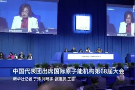 中国代表团出席国际原子能机构第68届大会图片