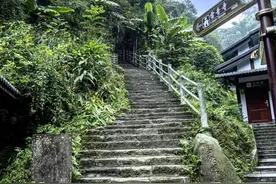 【美丽四川】峨眉山记趣||冉奎图片