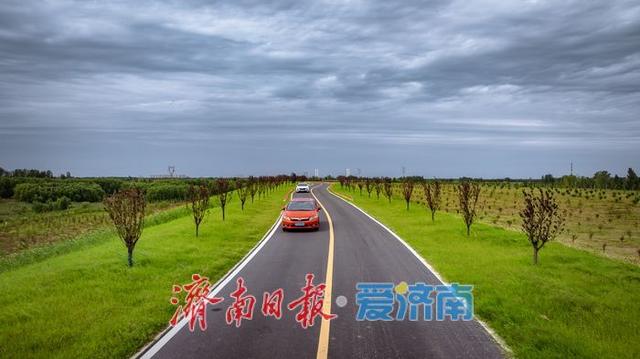 一年四季 泉在济南丨济南槐荫区玉符河生态公路：仿若驰骋草原的城市风景线