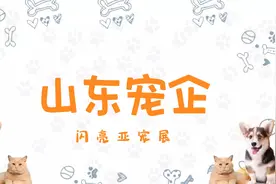 山东“宠企”惊艳亮相“亚宠会”！图片