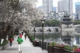 【高清组图】贵阳南明：花开春意浓图片