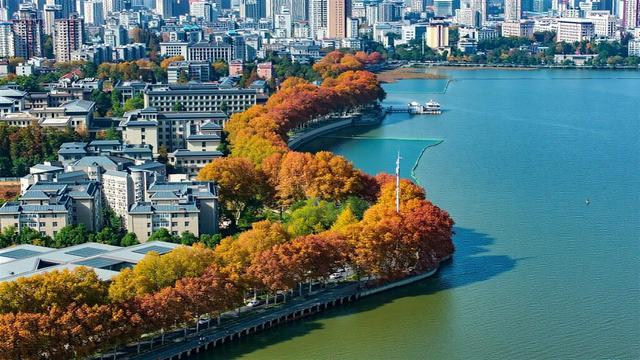 东湖南路上演初冬的浪漫：满径梧桐黄，一路保洁忙