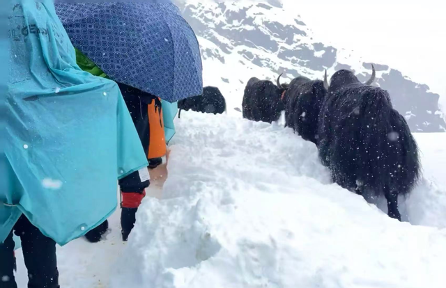 珠峰东坡一夜：喧嚣人潮、寂静雪山，与一场不期而至的暴雪