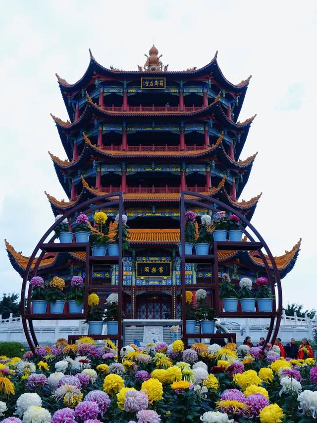 青睐绵阳 ‖ 一城秋色，菊香满园，游仙区富乐山十万香阵花正浓！