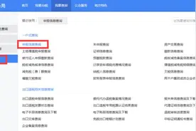 新版电子税务局中如何查询申报记录？图片