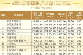 湖南2家银行上榜！2024年中国银行业前100名单出炉图片