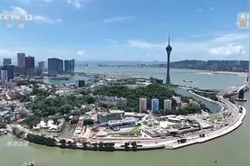 焦点访谈丨让“掌上明珠”更加光明璀璨图片