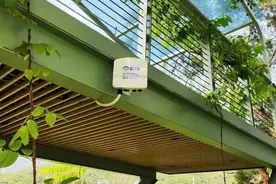 大鹏七个公园将可连免费Wi-Fi，快来蹭图片