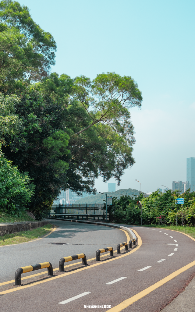 “看牛看海看夜景，深圳骑行路线精选”