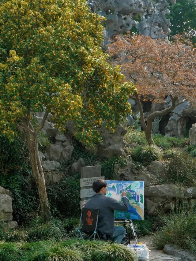 绿→黄，姑苏秋意进行时......