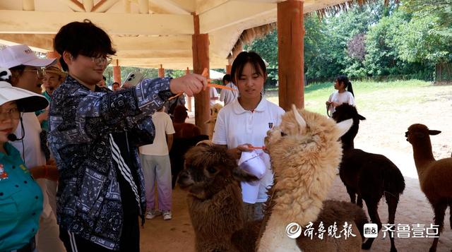 播撒逐梦的种子，壹点公益“大树计划”暑期公益夏令营圆满结束